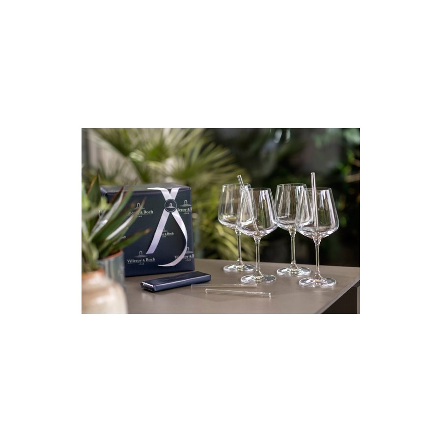 Villeroy & Boch Ovid Rotweinglas 4er Set 20 cl