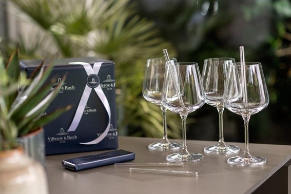 Villeroy & Boch Ovid Rotweinglas 4er Set 20 cl