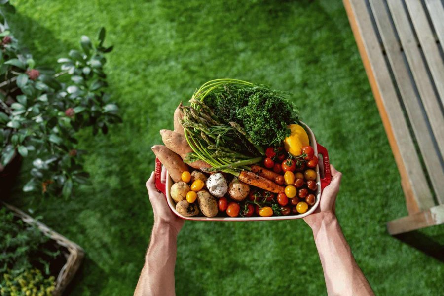 Staub Ceramique Auflaufform 24x34 cm, Kirschrot