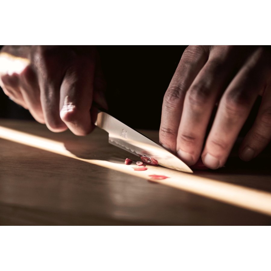 MIYABI 4000 FCv2 KOYA Kudamono Messer 22 cm