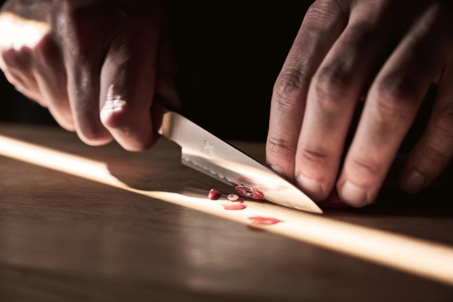 MIYABI 4000 FCv2 KOYA Kudamono Messer 22 cm