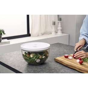Zwilling Fresh & Save Vakuumskål Ø24 cm, Klar