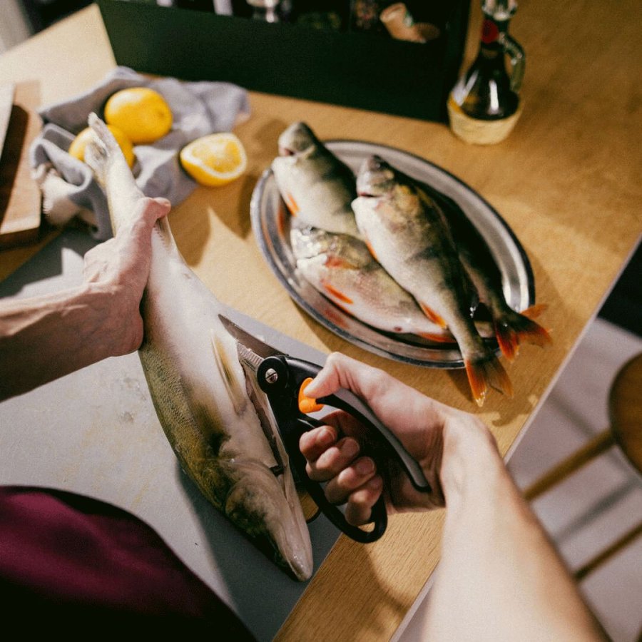 Fiskars Functional Form Fischschere 22 cm