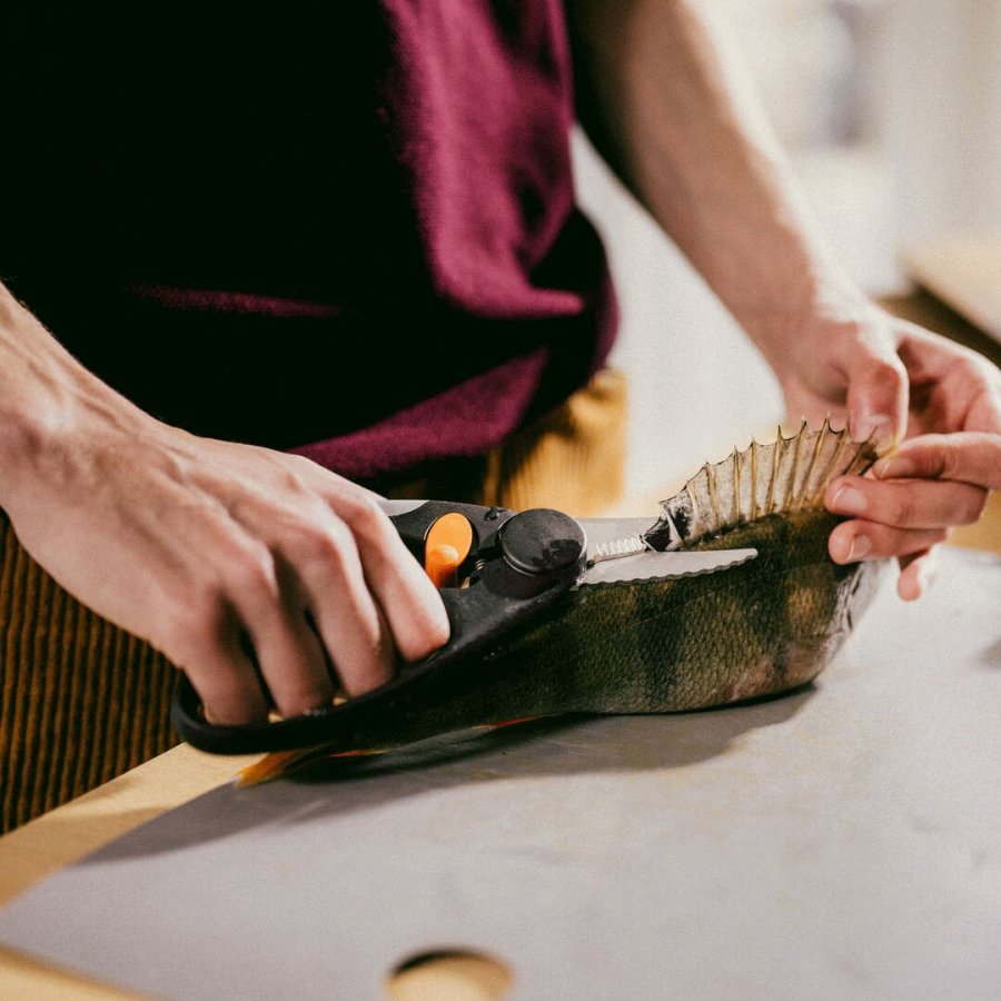 Fiskars Functional Form Fischschere 22 cm