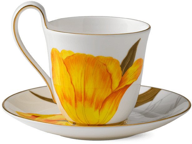 Royal Copenhagen Flora Hochhenkeltasse m. Unterteller 27 cl, Tulpe