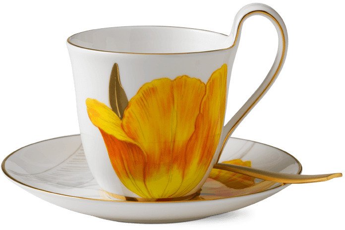 Royal Copenhagen Flora Hochhenkeltasse m. Unterteller 27 cl, Tulpe