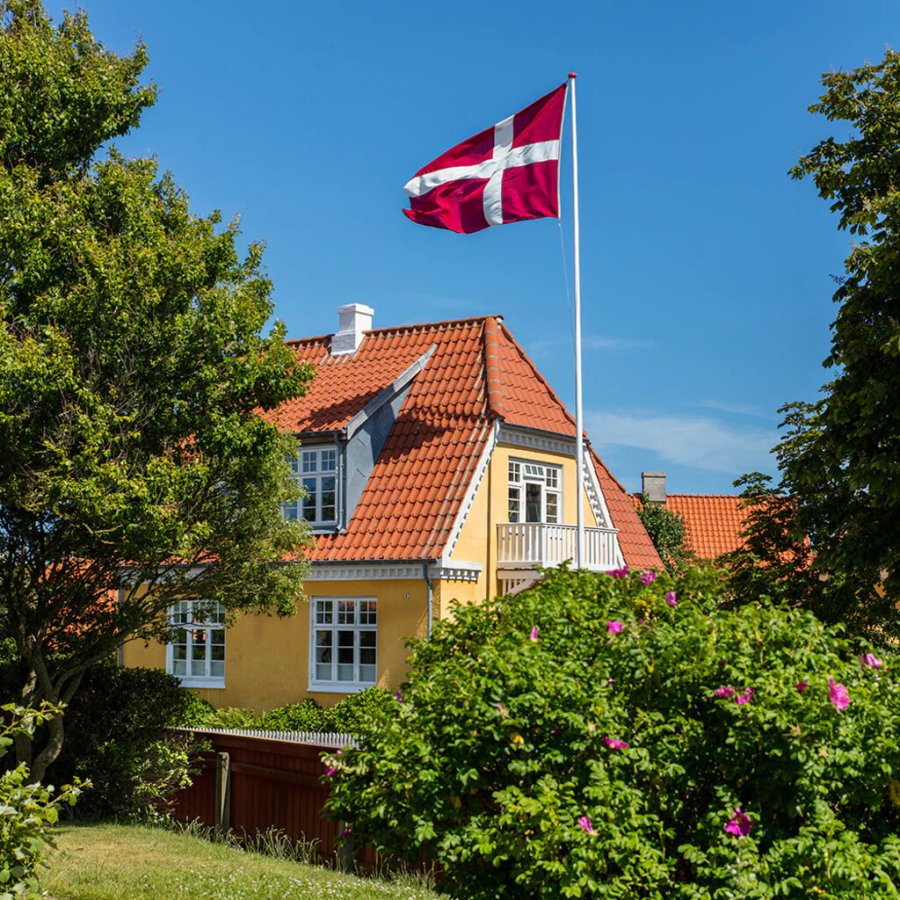 Langkilde & S�n Luksus Dannebrogsflag til 10 m Flagstang