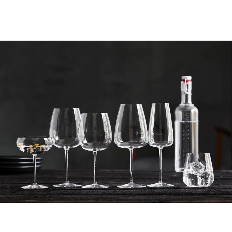 Luigi Bormioli Talismano Wasserglas 2er Set 45 cl