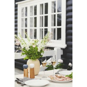 Holmegaard Cabernet Champagneglas 6 stk. 29 cl