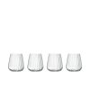 Luigi Bormioli Optica Wasserglas 2er Set 45 cl