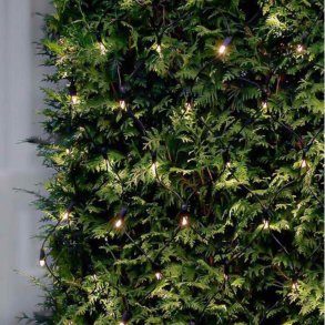 Sirius Tech-Line Starter Kit Netz 1,7x1,4 m, Warmwei