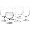 Holmegaard Bouquet Wasserglas 6er Set 38 cl