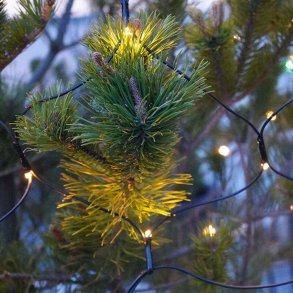 Sirius Top-Line Energy Lysnet Suppleringsst 2x1,5 m, Varm Hvid