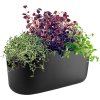 Eva Solo Selbstbewssernder Herb-Organizer, Schwarz