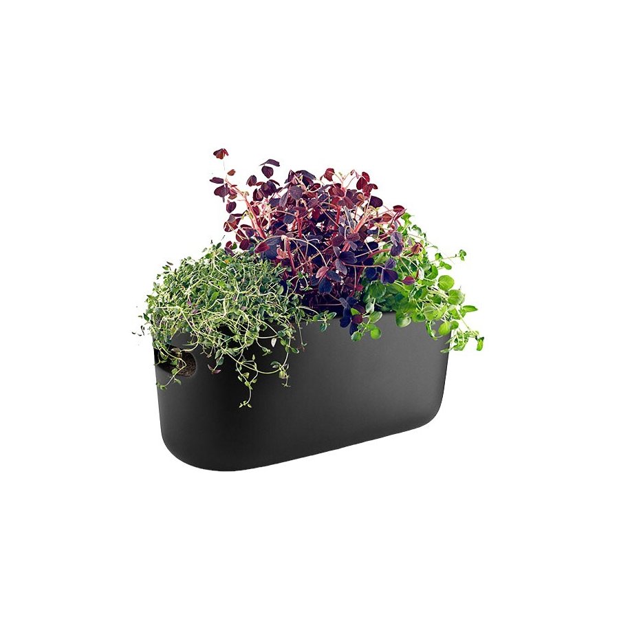 Eva Solo Selbstbewssernder Herb-Organizer, Schwarz