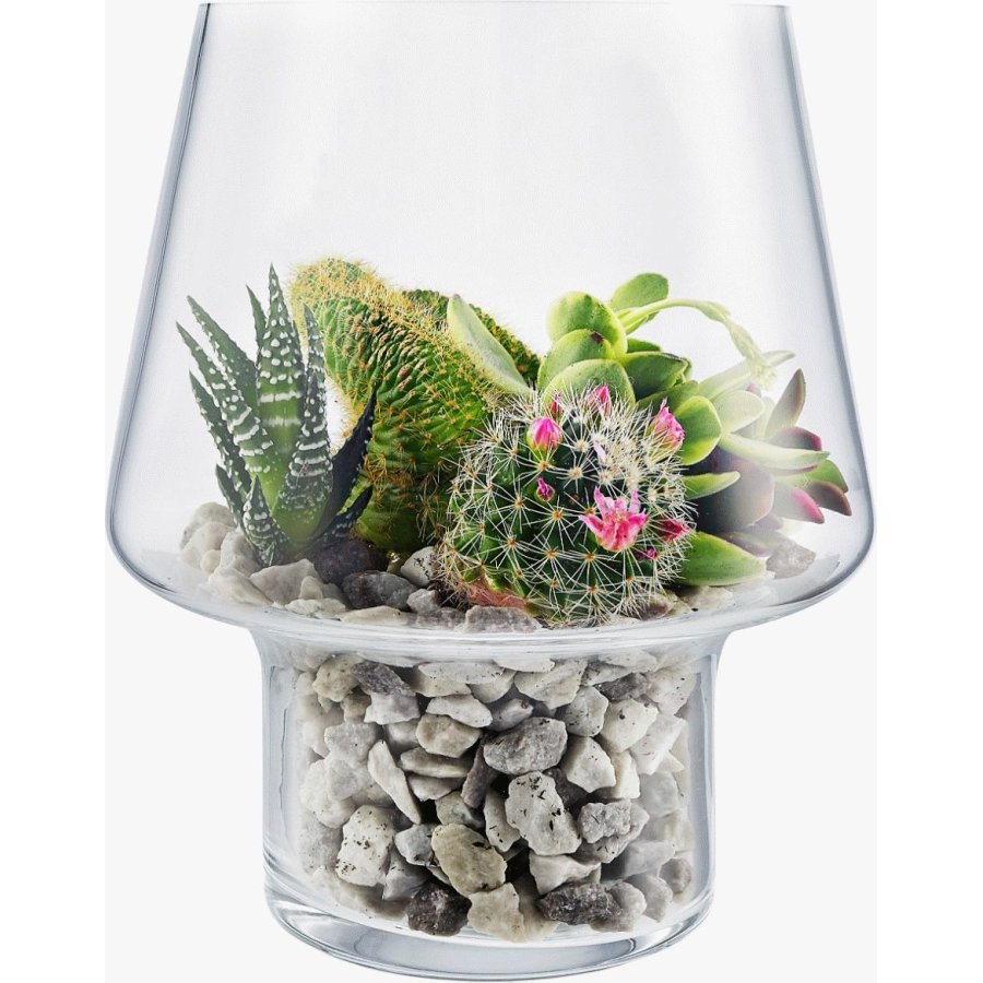 Eva Solo Sukkulent Vaas 15 cm, Glas