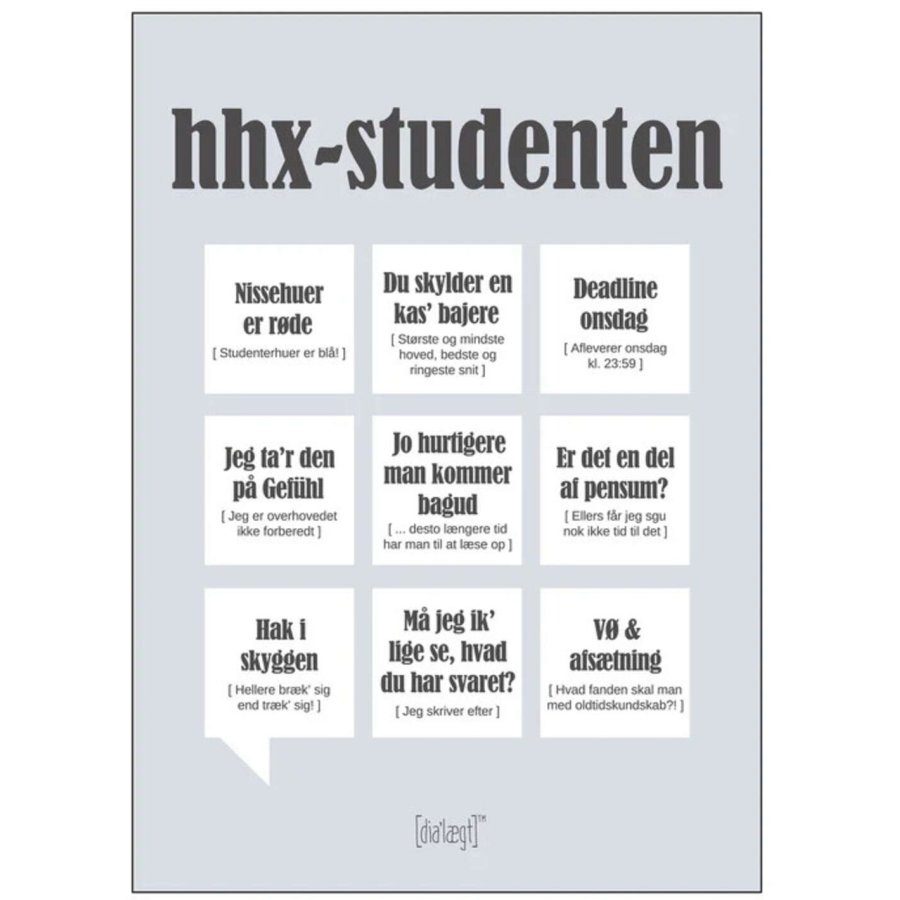 Dialgt Plakat HHX-student 50x70 cm, Gr