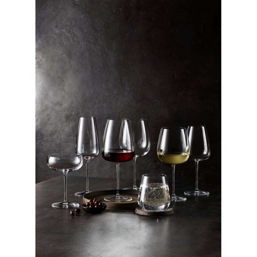 Luigi Bormioli Talismano Wasserglas 2er Set 45 cl