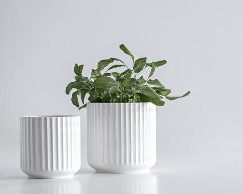 Lyngby Urtepotte 14cm Hvid