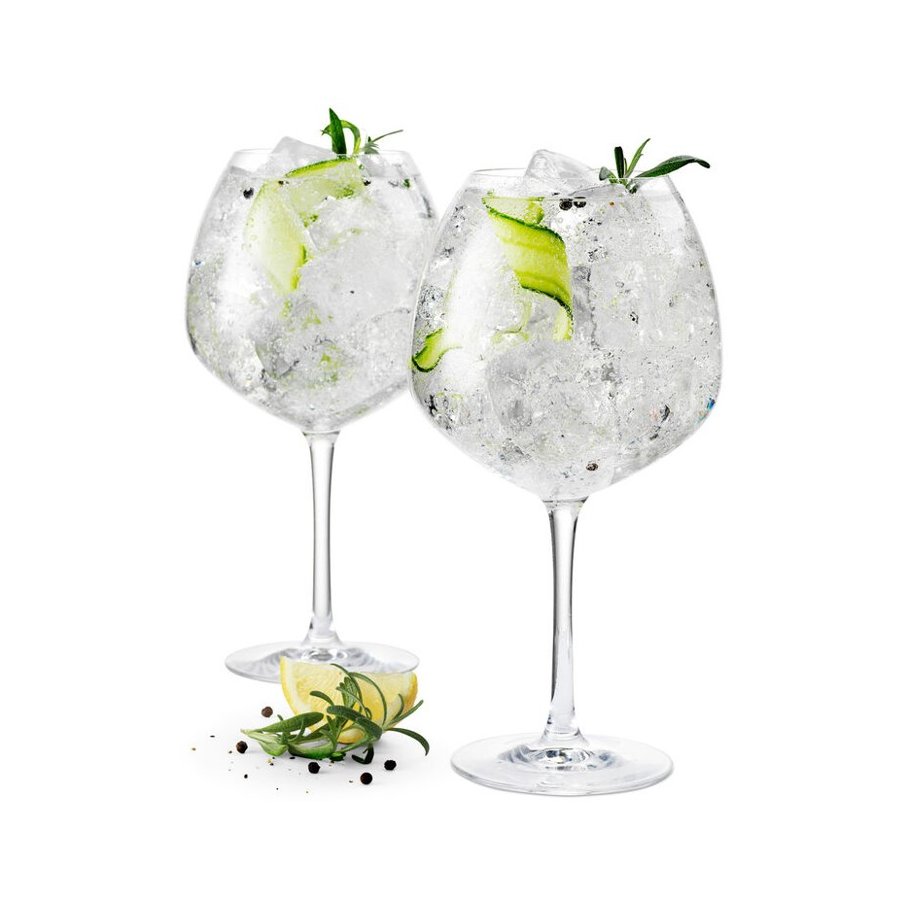 Rosendahl Premium Ginglas 2 stk. 93 cl