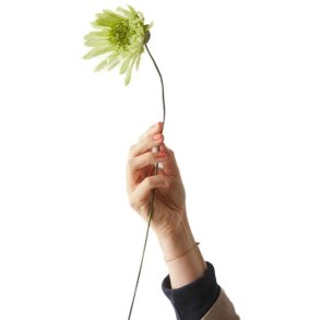 Studio About Paper Flower Cherry Fluff 37 cm, Grn