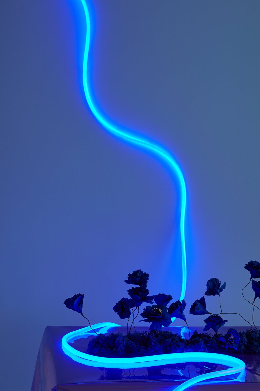 Studio About Flex Tube LED-Leuchtstoffröhre 5 m, Blau