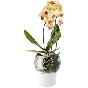 Eva Solo Orkidépotte 15 cm, Frosted