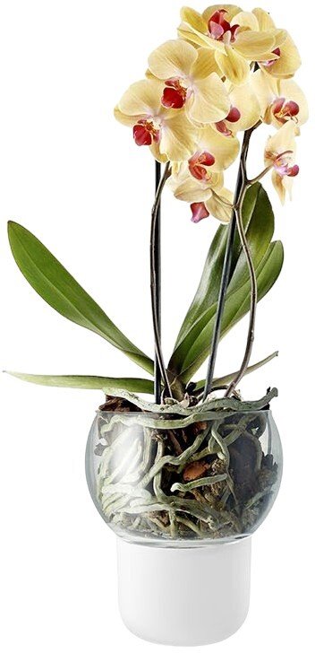Eva Solo Orchideentopf 15 cm, mattiert