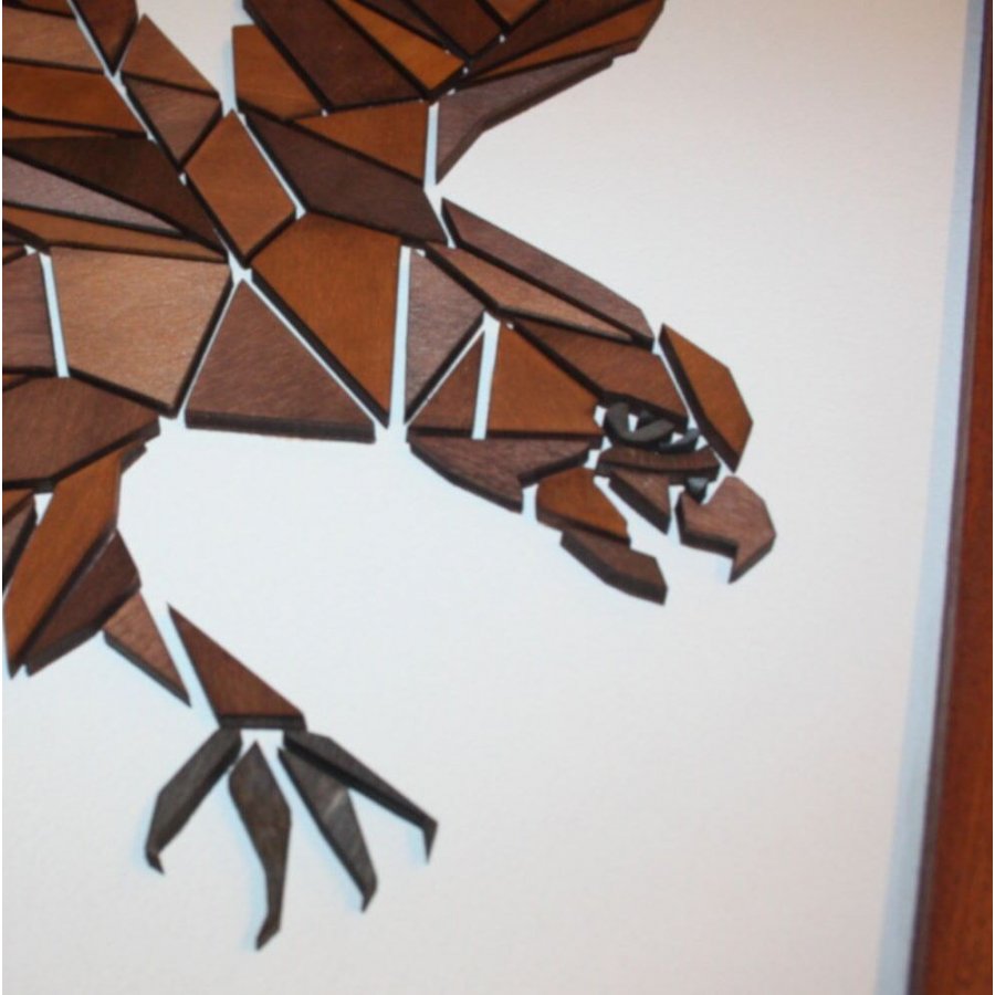 MPM Design rnen