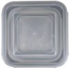 Endeavour Foodbox Haushaltsbox 18x18 cm, Glas