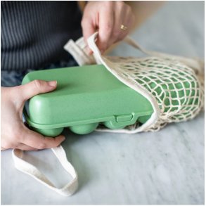 Koziol EGGS TO GO Æggebakke 27,7x11,8 cm, Nature Leaf Green