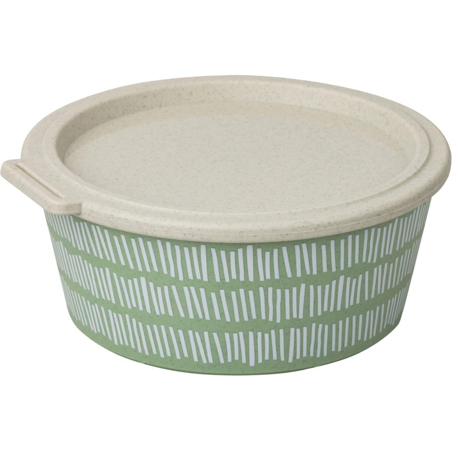 Koziol BLOMSTER Aufbewahrungsbox 1,3 L, Nature Leaf Green