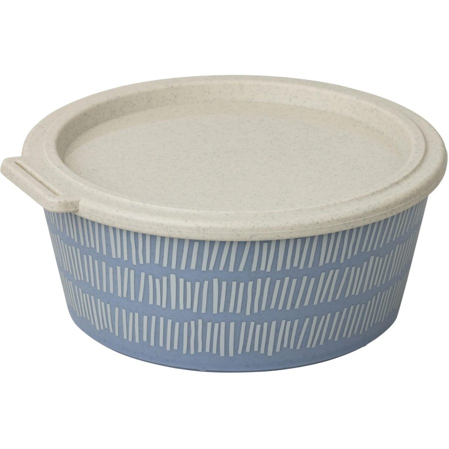 Koziol BLOMSTER Aufbewahrungsbox 1,3 L, Nature Flower Blue