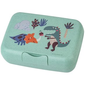 Koziol CANDY Rex Lunchbox 19x13,5 cm, Organic Sage Green