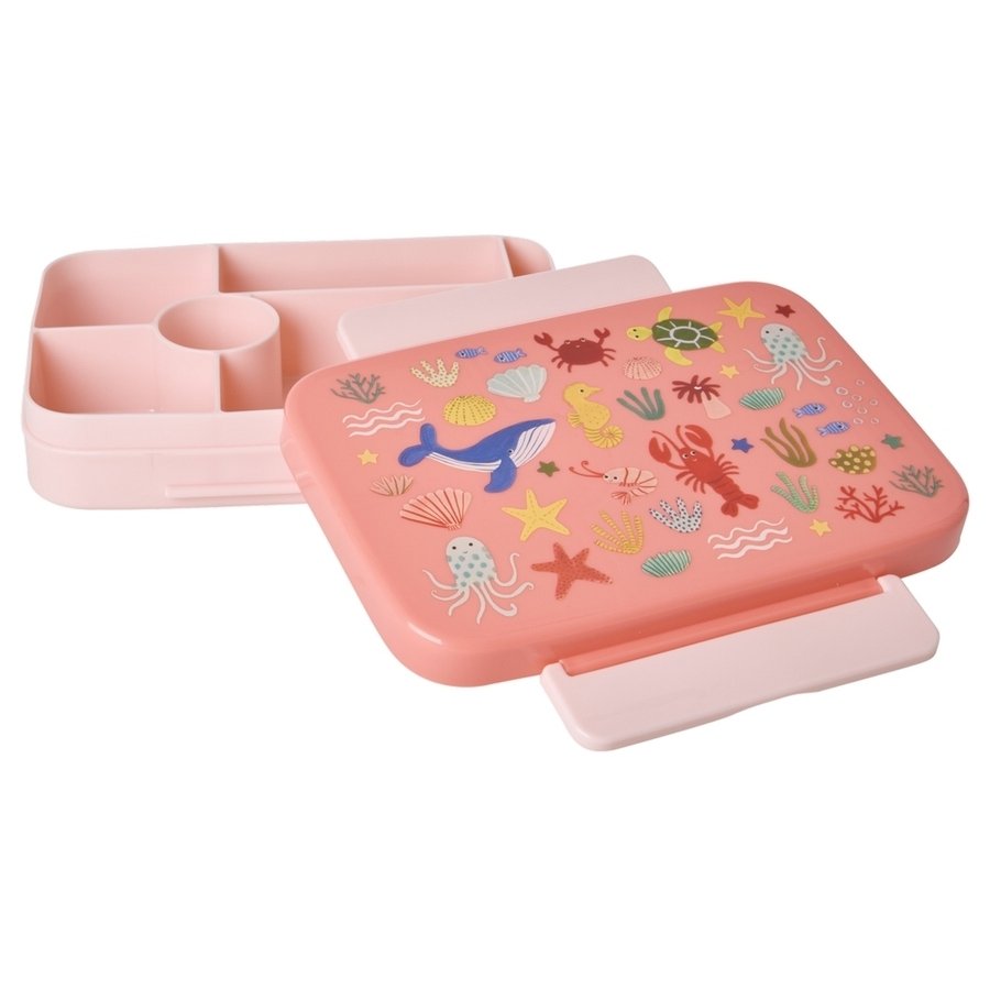 RICE KIDS Ocean Brotdose 1 L, Coral